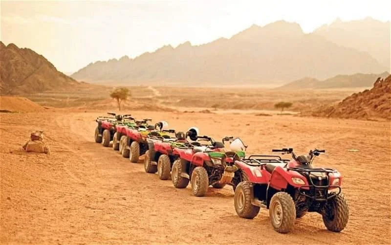 Sharm El Sheikh Safari Adventures: Quad Bikes, Beach Buggies & Desert Tours