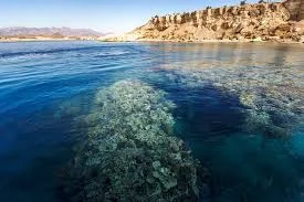 Why Ras Mohammed National Park Is the Best Excursion in Sharm El Sheikh