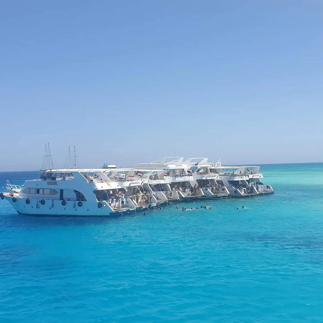 Why Ras Mohammed National Park Is the Best Excursion in Sharm El Sheikh