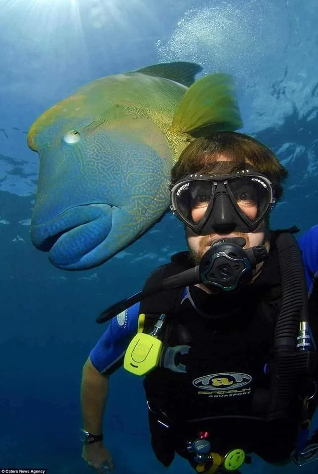 Why Ras Mohammed National Park Is the Best Excursion in Sharm El Sheikh